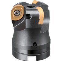 �_�C�W�F�b�g�@���C���h���W�A�X