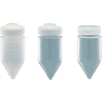 �s�f�j�@���S�т�@�u��P�V�T���k�@�o�b�@�S�{