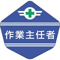 �����@�w���x���g�p�X�e�b�J�[�m��Ǝ�C�ҁn