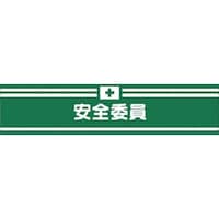 �����@�w���A�r�́@���S�ψ�