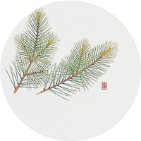 �s�j�f�@�A�[�e�b�N�@�a���R�[�X�^�[�l�G�ہi�T�O����