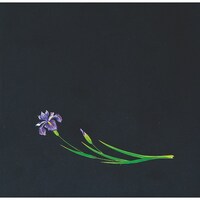 �s�j�f�@�A�[�e�b�N�@�n�o�N���A�l�G�@����߁i�Q�O�O