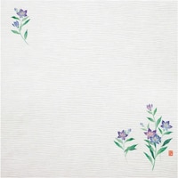 �s�j�f�@�A�[�e�b�N�@�ϖ����ڂ���~�@�S���i�P�O�O�����j�@�����傤�@�s�`�|�d�P�Q�@�p�j�h�p�Q�O�P�@�P��