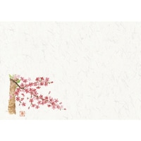 �s�j�f�@�ۍK�����@�l�G�󎆁@�e�[�u���}�b�g�i�P�O�O