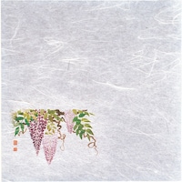 �s�j�f�@���}�R�[�@�V�E�G��򏑎��i�P�O�O�����j�@��