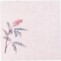 �s�j�f�@���}�R�[�@�O�����~���T���i�P�O�O�����j��V