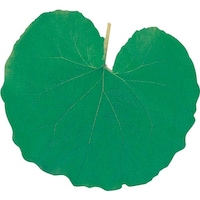 �s�j�f�@���}�R�[�@�^�����N���A�V�[�g�i�Q�O�O�����j