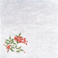 �s�j�f�@���}�R�[�@�V�E�G��򏑎��i�P�O�O�����j�@��