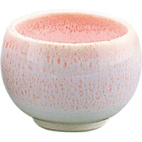 �s�j�f�@�G���Y�W���p���@�����������ہ@�c�O�R�|�S�W