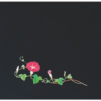 �s�j�f�@�A�[�e�b�N�@�n�o�N���A�l�G�@����i�Q�O�O��