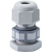 �^�J�`�@�V�[�����X�^�P�[�u���O�����h�@���C�g�O���[