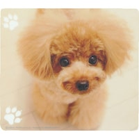 �r�`�m�v�`�@�����}�E�X�p�b�h�i�e�B�[�J�b�v�v�[�h��