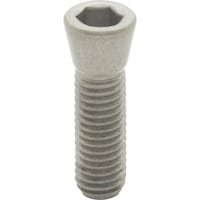 �C�}�I�@�e�[�p�[�{���g�@�i�����^�C�v�j