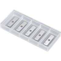 �^���K���C�@�V��