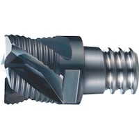 �n�r�f�@�o�g�n�d�m�h�w�@�w�b�h�������G���h�~���@�o