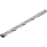 �^���K���C�@�w�b�h�������h����