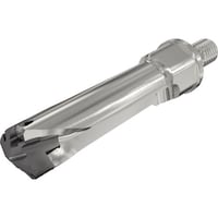 �C�X�J���@�X���E�J���@�w�b�h�������h�����{�f�B�@�c