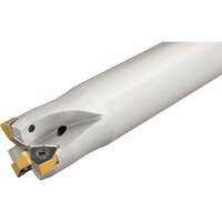 �C�X�J���@�w���h�D�@�G���h�~���@�g�U�X�O�@�d�v�m�|