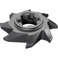 �C�X�J���@�s�M�A�@�C���{�����[�g���Ԍ`����H�Ή��w