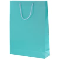 �g�d�h�j�n�@��񂰎��܁@�u���C�g�o�b�O�@�A�T�M�@�f