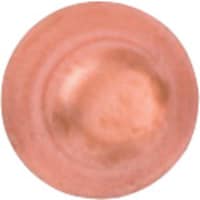 �e�t�r�n�@���L���b�v�@�R�^�W�e