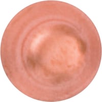 �e�t�r�n�@���L���b�v�@�P�^�S�e