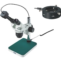 �g�n�y�`�m�@���̌������i�o�b�p�j