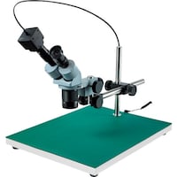 �g�n�y�`�m�@���̌������i�o�b�p�j