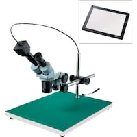 �g�n�y�`�m�@���̌������i�o�b�p�j