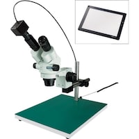 �g�n�y�`�m�@���̌������i�o�b�p�j