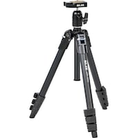 �r�k�h�j�@�G�A���[�V���[�Y�@�G�A���[�@�r�P�O�O