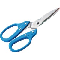 �G���e�[�g���}�c�@�J���[�n���h���@�L�b�`�����i�j