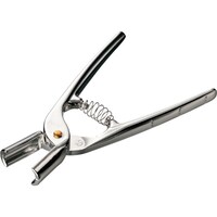 �G���e�[�g���}�c�@�݂܂@�M���i���N���v���P�V�T��