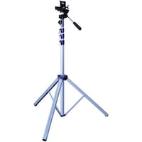 �m�d�f�t�q�n�r�t�@���X�^���h