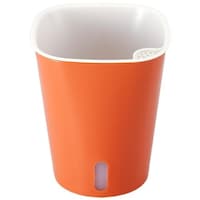 �A�C���f�B�A�@���������A�ؔ��@�T���p