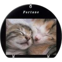 �j���������@�P�Q�T�O�P�X�W�@�ʐ^���ā@�V�ہ@�u���b