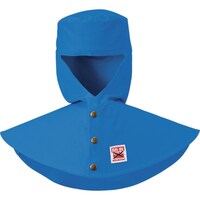 �l�����@�c�������@�h���n�ږX�i�c�o���j