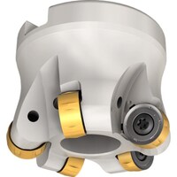 �C�X�J���@�t�F�[�X�~��