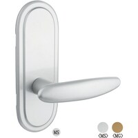 ����@�g���t�@�s�w�r�|�f�P�O�q�|�l�r�@��������@�m�s�w�r�f�P�O�q�O�V�@�P�r