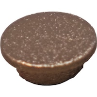 �_���h���r�X�@���^���L���b�v�@�u�����Y�@�@�i�Q�O��