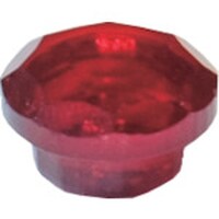 �_���h���r�X�@�W���G���L���b�v�@���b�h�@�i�P�O�O��