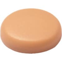 �_���h���r�X�@�_���h���@�v�L���b�v�@�v�V�S�@�N���[