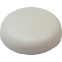 �_���h���r�X�@�v�L���b�v�@�v�V�P�R���C�g�@�A�C�{��