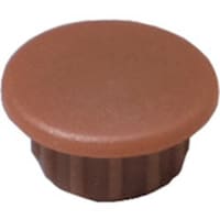 �_���h���r�X�@���L���b�v�i�W�����j���J�`�W�|�P�W�@