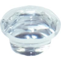 �_���h���r�X�@�W���G���L���b�v�@�N���A�@�i�P�O�O��