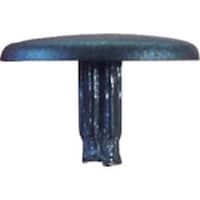 �_���h���r�X�@�_���h���@�L���b�v�o��p�o�T�Q�@�u��