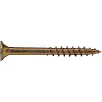 �_���h���r�X�@�t�@���J�^�r�X�e�`�T�O�@�P�O����