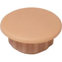 �_���h���r�X�@���L���b�v�i�P�O�����j�N���[���`�P�O