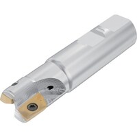 �Z�R�@�t���C�X�@�@�^�[�{�~���@�J�b�^�[