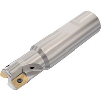 �Z�R�@�t���C�X�@�@�^�[�{�~���@�J�b�^�[